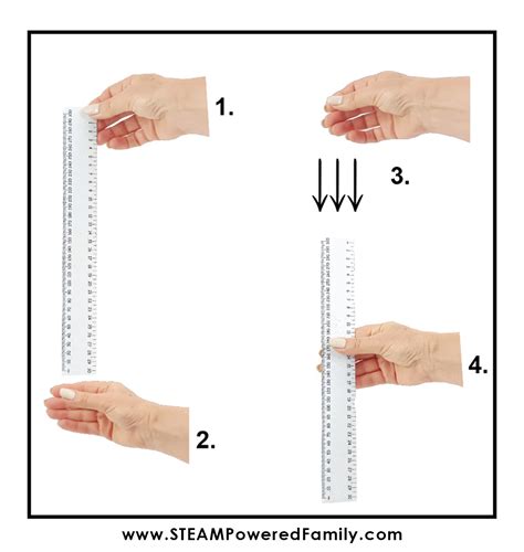 reaction stick ruler test